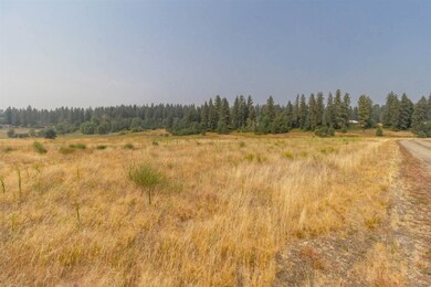 000 E Chattaroy Rd, Chattaroy, WA 99003 - photo 5