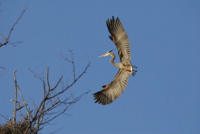 Lot 27 Tara Pkwy, Mount Zion, IL 62549 - photo 4