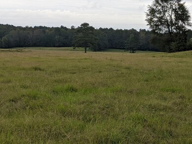 000 Conerly Dr, McComb, MS 39648 - photo 3