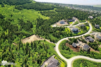 06-Aerial Photo_DJI_0876