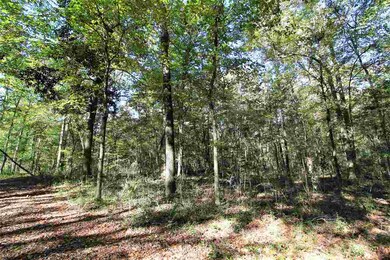 0 Governors Way unit 311407, Crawfordville, FL 32327 - photo 4