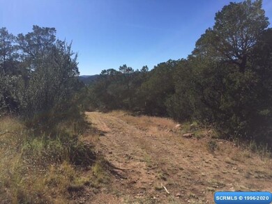 61 Euphoria Rd, Silver City, NM 88061 - photo 5