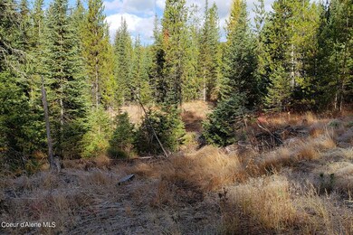 114a Packer Creek Rd, Haugen, MT 59842 - photo 4