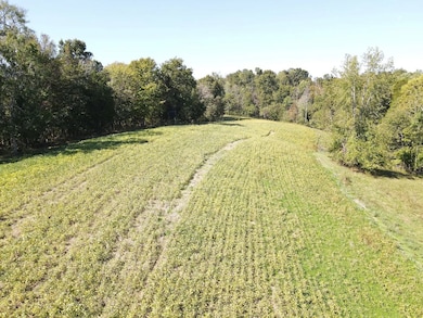 1551 Buck Smith Rd, Palmyra, TN 37142 - photo 6