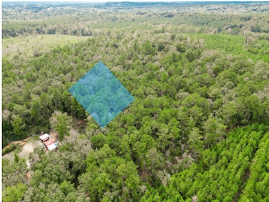 00 Florida 81, Ponce de Leon, FL - photo 4