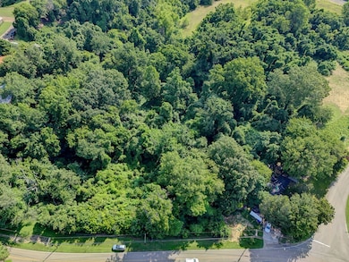 0 Palmetto Dr unit 33197, Vicksburg, MS 39183 - photo 7