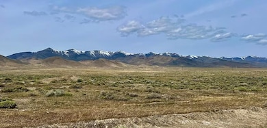 Humboldt River, Humboldt City, NV 89418 - photo 6
