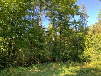 00 High Meadows Rd unit 20, Burke, VT 05832 - photo 4