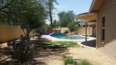 back yard 2