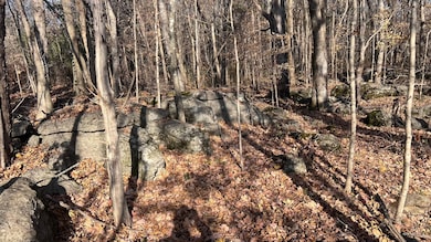 1 Adams Rd, Watertown, TN 37184 - photo 5