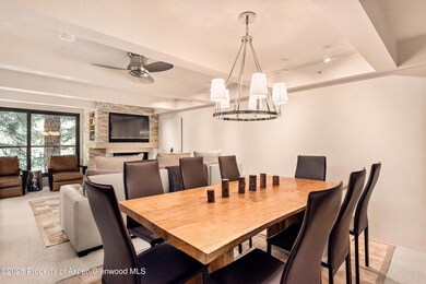 1034 E Cooper Ave unit 26A, Aspen, CO 81611 - photo 7