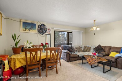 1527 Blake Ave unit 207, Glenwood Springs, CO 81601 - photo 6