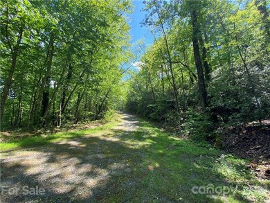 731 Quail Ridge Road Lake Lure. This property adjo