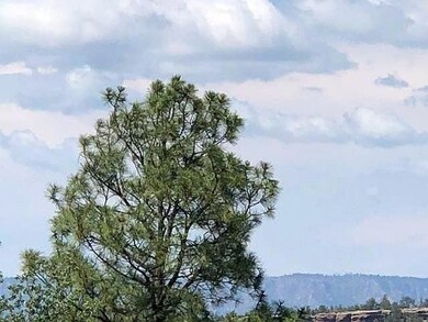 Mogollon Rim View