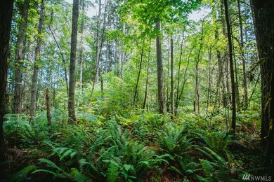 0 SW 192nd St, Vashon, WA 98070 - photo 5