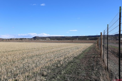 LucaTBD Lot 3 5790 Rd, Montrose, CO 81403 - photo 2