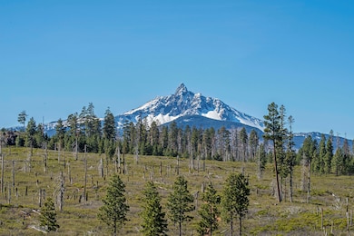 70390 Mcallister Rd unit Parcel 1, Sisters, OR 97759 - photo 3