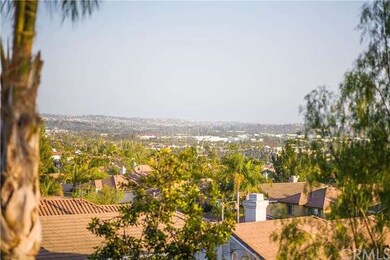The Panoramic view from the back yard is amazing!