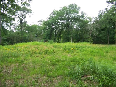 25163 Lakeside Dr, Hockley, TX 77447 - photo 4