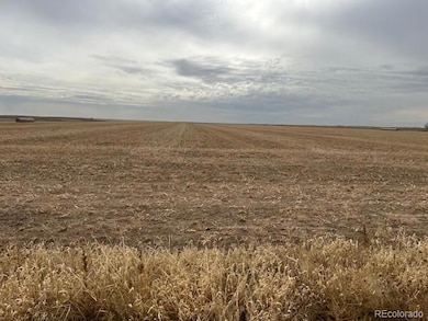 0 Tbd E 112th Ave unit REC1788626, Bennett, CO 80102 - photo 6