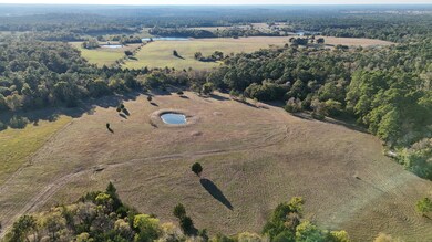 0 Townley Ranch Rd unit 25576062, Huntsville, TX 77320 - photo 5