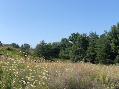 760 Maple Creek Blvd unit 8, Petoskey, MI 49770 - photo 7