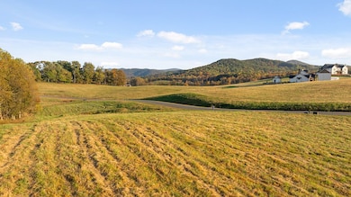 Lot 24 Bravo Way, Talking Rock, GA 30175 - photo 3