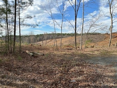 LOT 1 Leesville Rd, Lynch Station, VA 24571 - photo 7