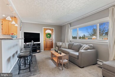 605 Turf Ln, Conshohocken, PA 19428 - photo 4