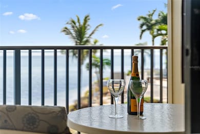 Palma del Mar Building G unit 209, Saint Petersburg, FL 33715 - photo 4