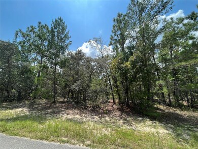 6253 Emory Ave, Keystone Heights, FL 32656 - photo 2