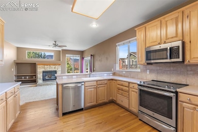 16862 Buffalo Valley Path, Monument, CO 80132 - photo 5