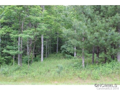 Lot 253