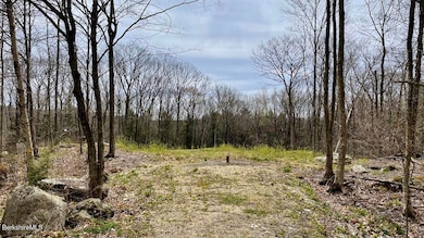 0 Jamie Ln, Sandisfield, MA 01245 - photo 4