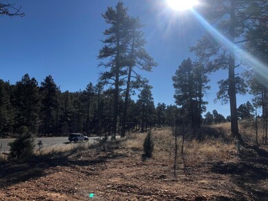 Tract D S White Mountain Rd, Show Low, AZ 85901 - photo 4