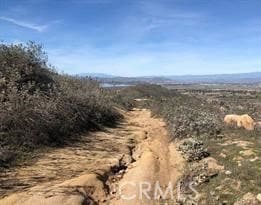 0 Lot 6 Scorpion Canyon Rd unit OC25184054, Hemet, CA 92545 - photo 4