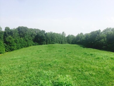 211 Hanna Rd, Prospect, TN 38477 - photo 4