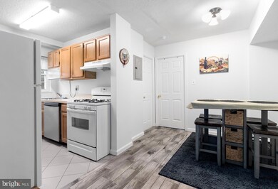 2239 Farrington Ave unit 5-101, Alexandria, VA 22303 - photo 5