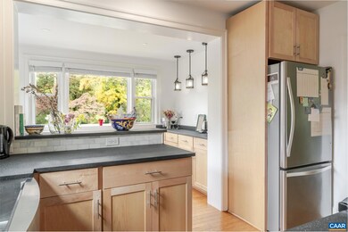 203 Raymond Ave, Charlottesville, VA 22903 - photo 6