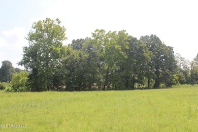 IMG_4306