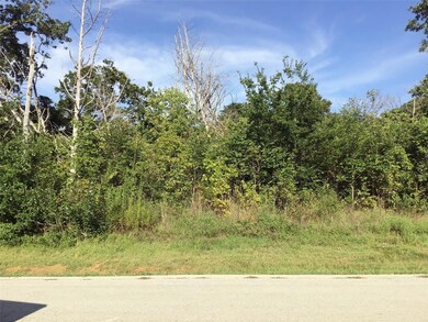 Lot 17 Palmilla Cir, Gordonville, TX 76245 - photo 2