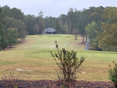 11-23 Brassie Dr, McCormick, SC 29835 - photo 4