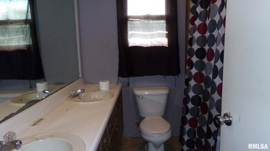 708 W Poplar St, Harrisburg, IL 62946 - photo 7