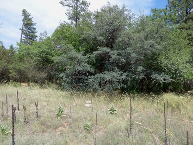 East portion of lot