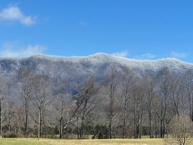 10617 U S 64 E, Hayesville, NC 28904 - photo 4