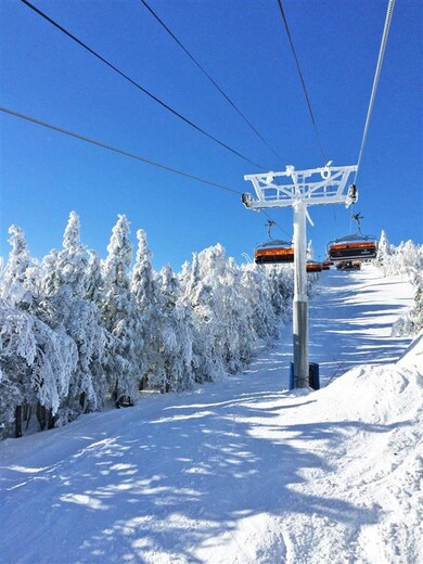 175 Jackson Gore Rd unit 818, Ludlow, VT 05149 - photo 4