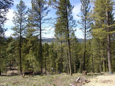 25 San Ignacio Way, Cascade, ID 83611 - photo 5