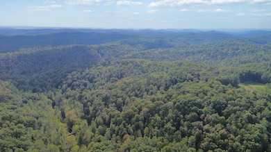 600 James Meece Rd, Somerset, KY 42501 - photo 7