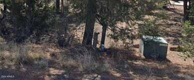 2223 Fairway Dr unit 16, Overgaard, AZ 85933 - photo 2