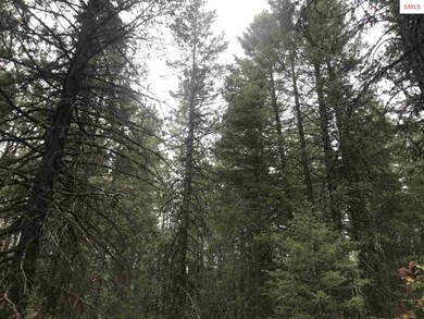 68 Riverview Cir, Sandpoint, ID 83864 - photo 4